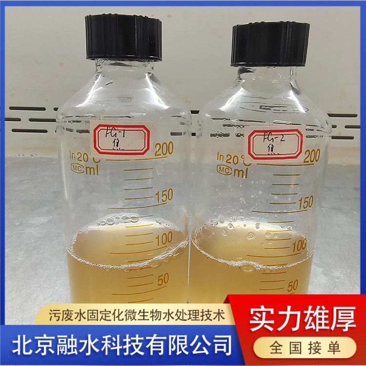 深圳化工污水处理固定化微生物技术