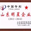 山东明星企业