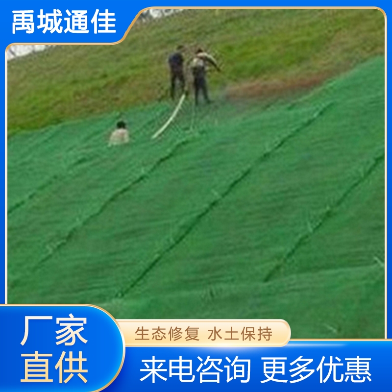 植生毯 质量保障 价格公道