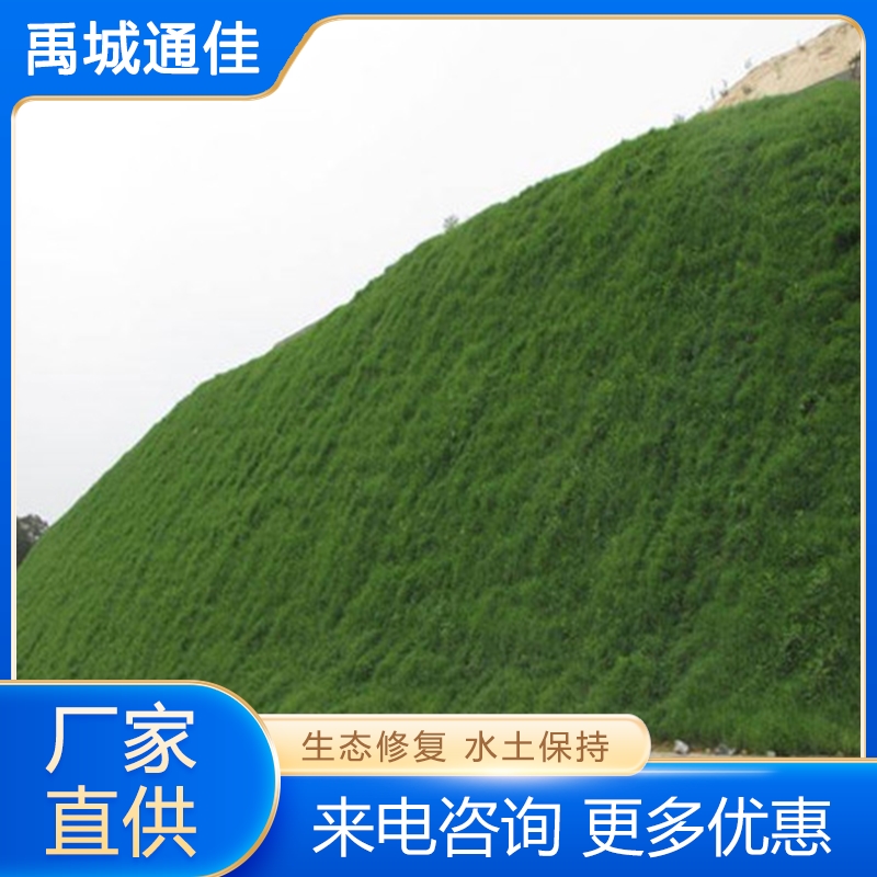 植生毯 精品推荐 大量批发