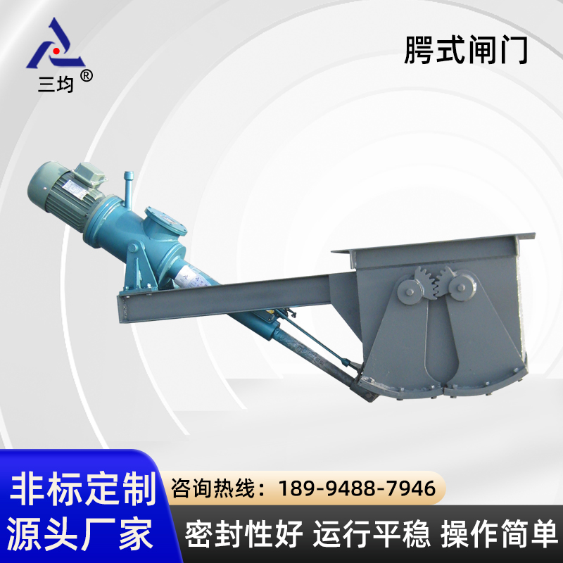 腭式闸门