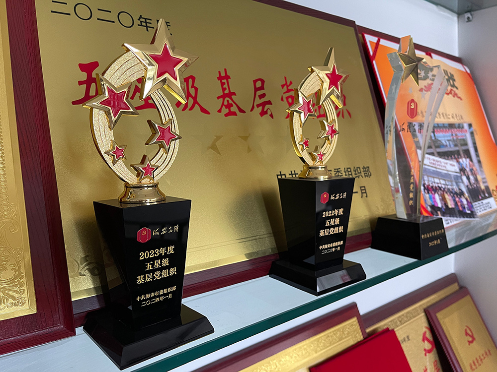 五星级基层党组织