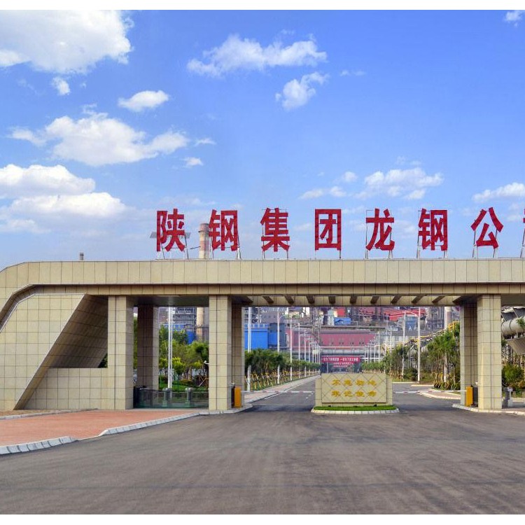 陕钢集团龙钢公司