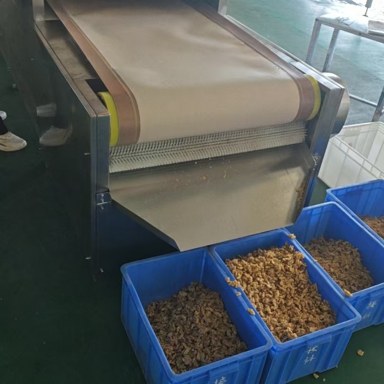 鲜核桃微波熟化设备 连续生产微波烘干机 大型微波杀菌机