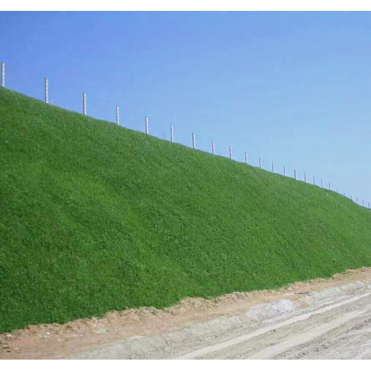 狗牙根草种子有价格