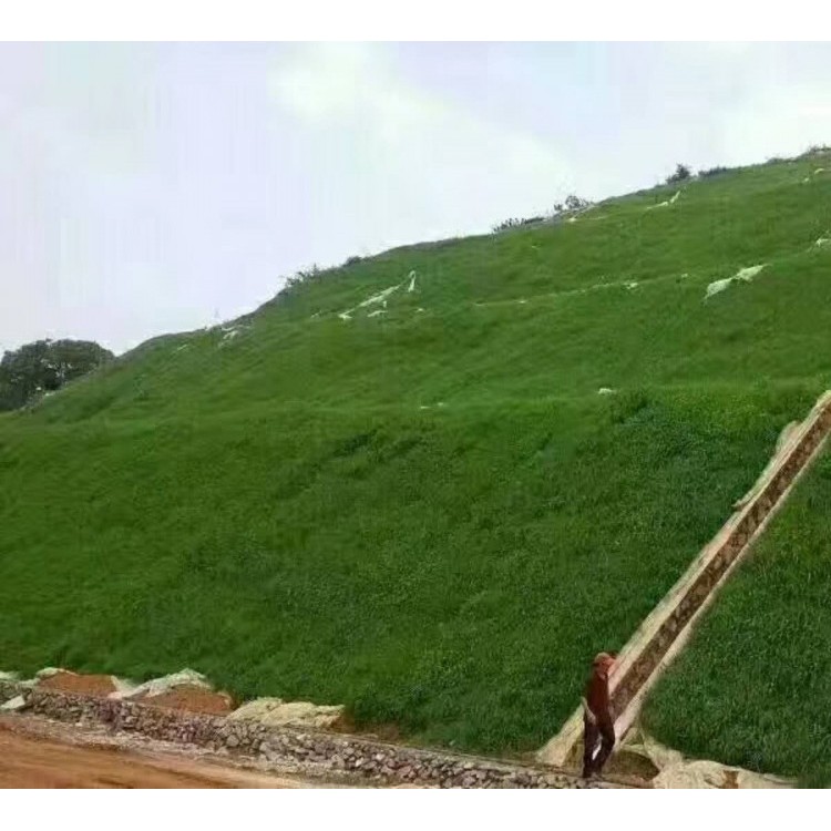 披碱草一亩地需要多少斤种子