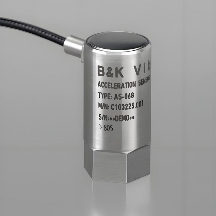 Bruel&Kjaer Vibro振动检测器
