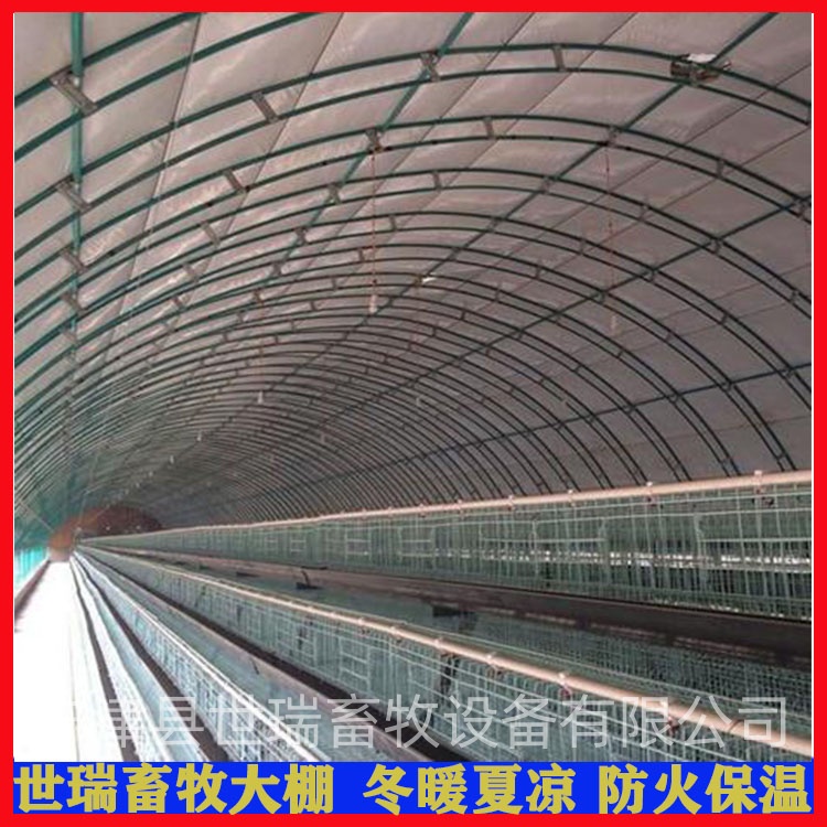 肉鸡养鸡大棚建设 鸡舍大棚安装价格 蛋鸡养殖棚施工