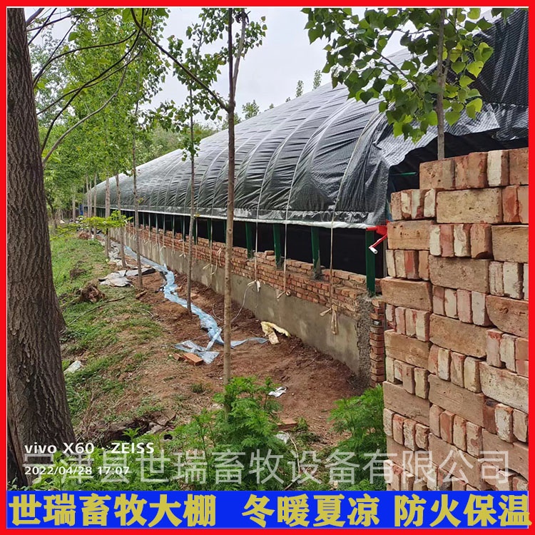 养猪舍大棚施工 养猪大棚安装 育肥猪舍大棚搭建厂家