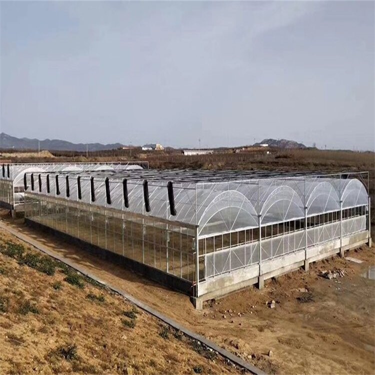 连栋薄膜温室厂家直销　没有中间商　大棚坚固耐用　造价低