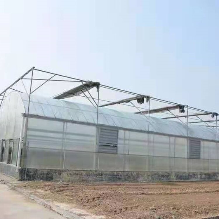 经济型连栋薄膜温室 热镀锌钢架结构 防腐蚀寿命长 批发价供应