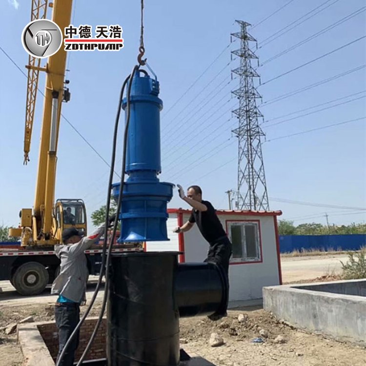 大型不锈钢浮筒潜水泵 中吸式浮筒式 多规格 接受定制