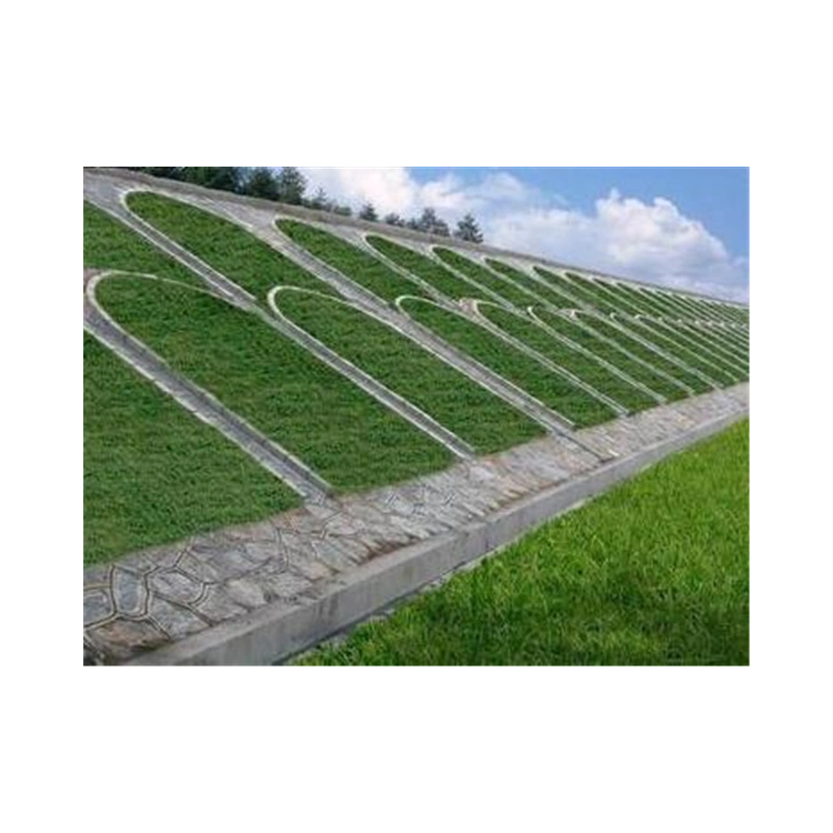 喷播植草