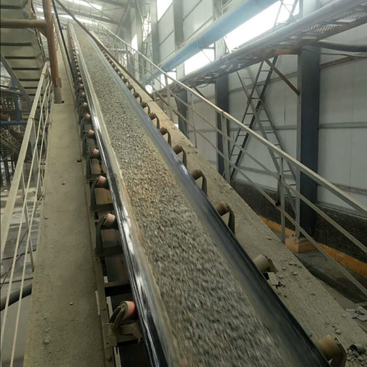 电子皮带秤_现场