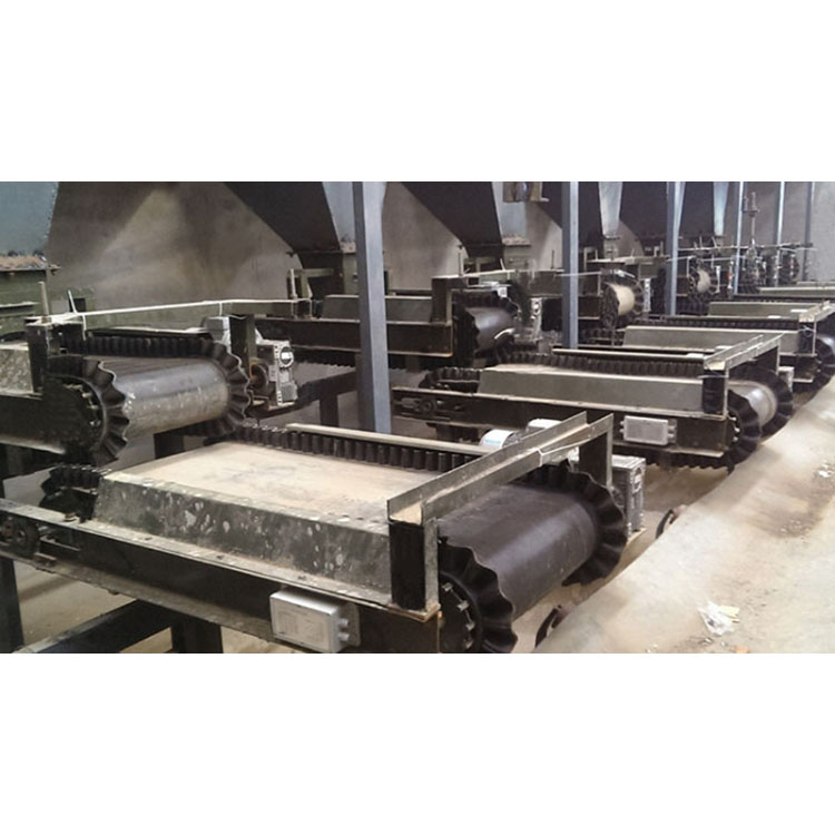 调速皮带秤-工作现场