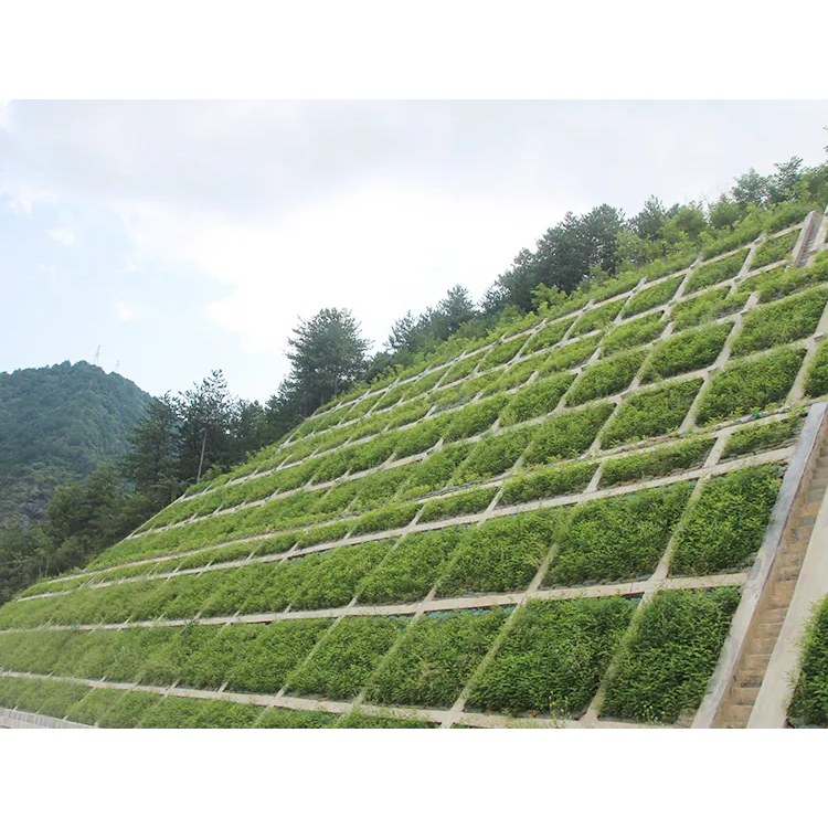 喷播植草