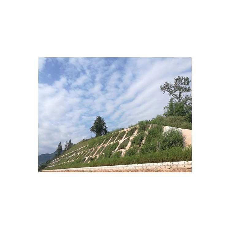 喷播植草