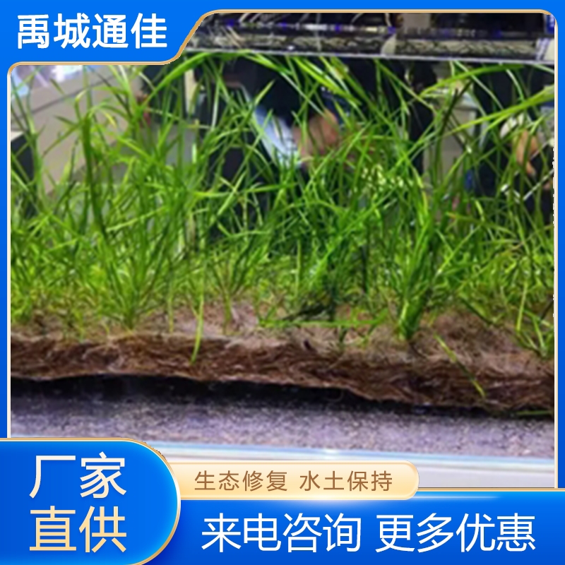 Ecological Submerged Bed, High Cost-Effectiveness, Sufficient Supply