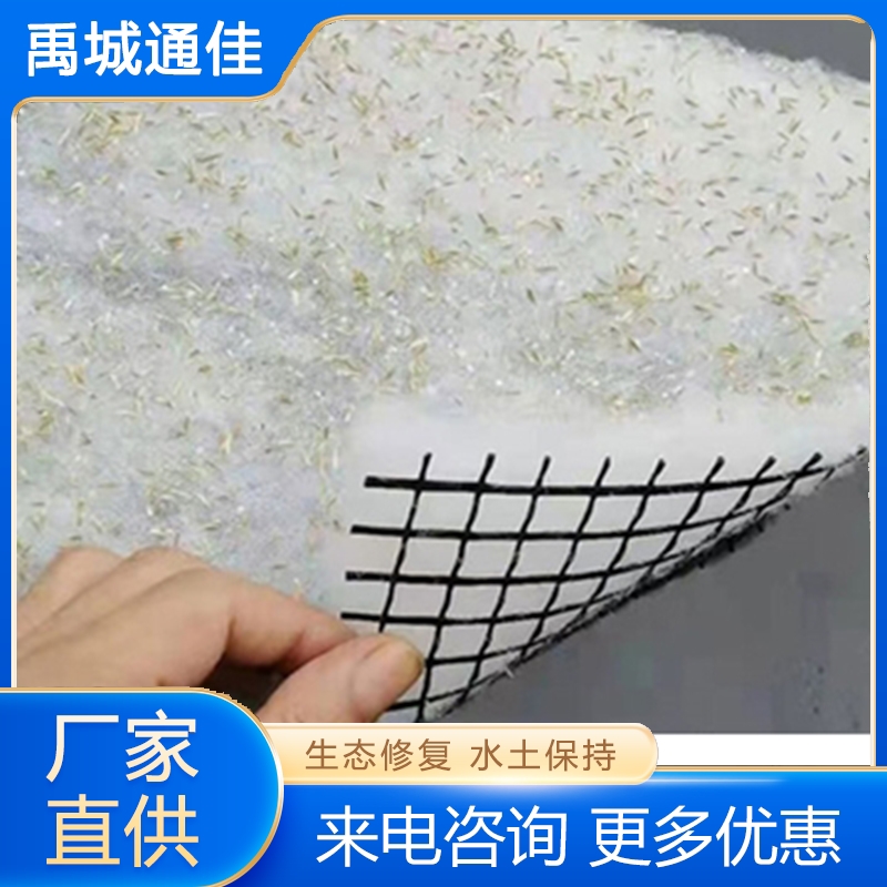 植生毯 追求质量 精品推荐