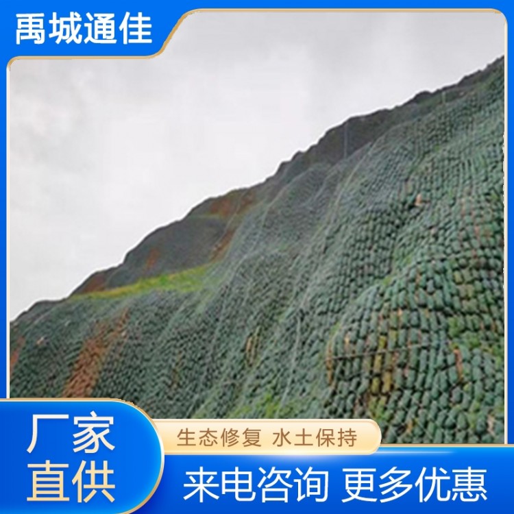 生态袋 价格实惠 质量保障