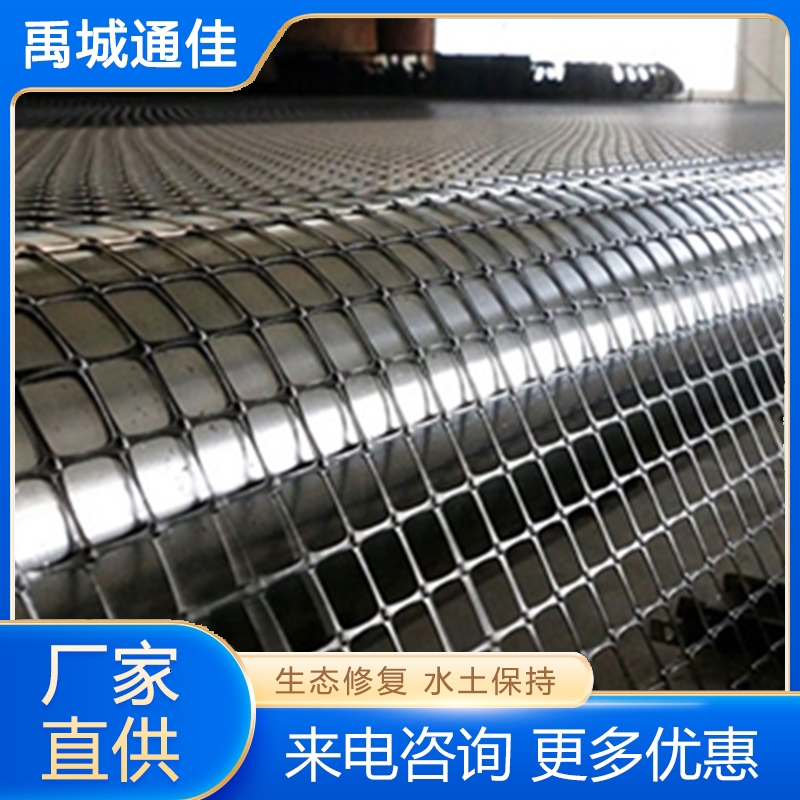 双向土工格栅 质量保障 价格公道