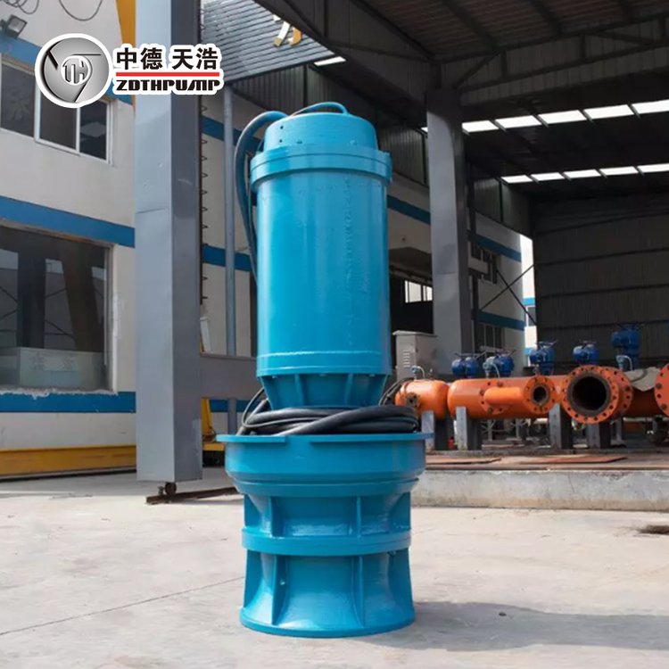 潜水轴流泵 工业排涝轴流泵 支持定制 中德天浩