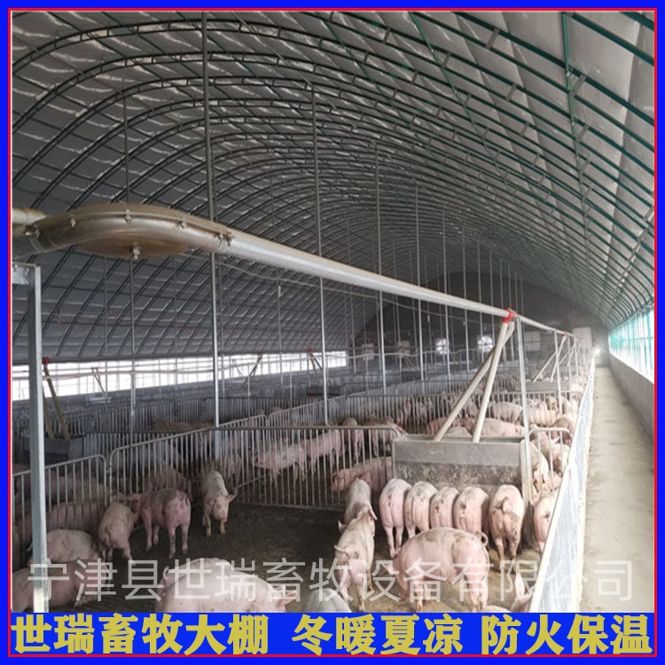 养猪大棚建设价格 猪舍大棚材料安装 养猪棚施工厂家