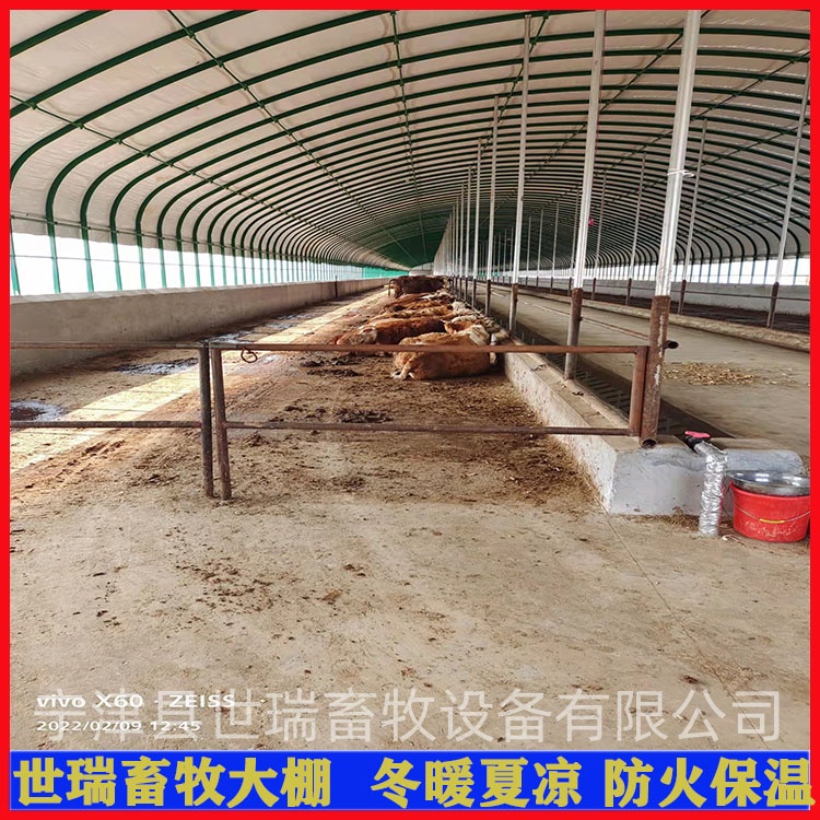 牛棚建设价格 牛舍大棚搭建 养牛大棚安装厂家