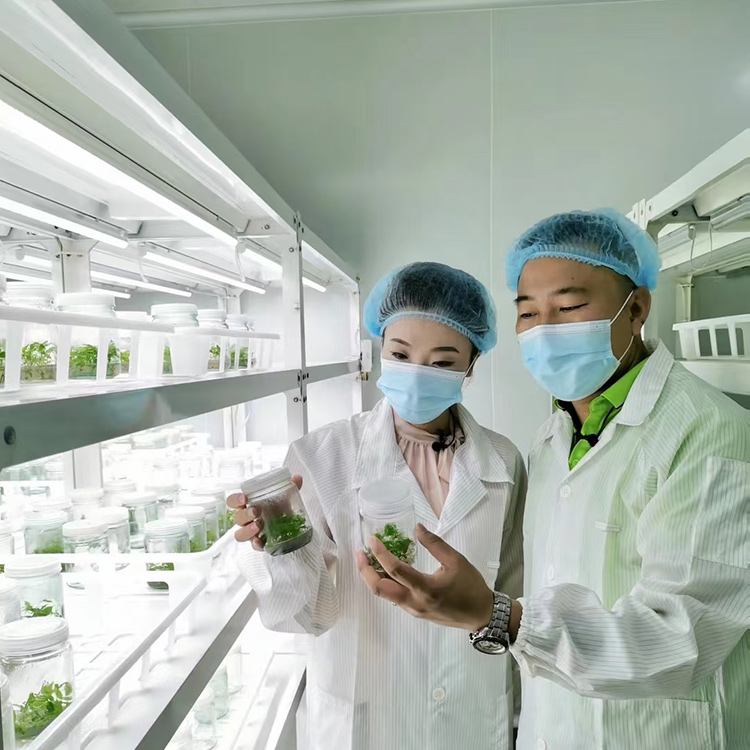 组培仪器设备