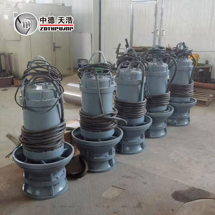 中德天浩 立式轴流泵 潜水轴流泵 工业热电站循环供水