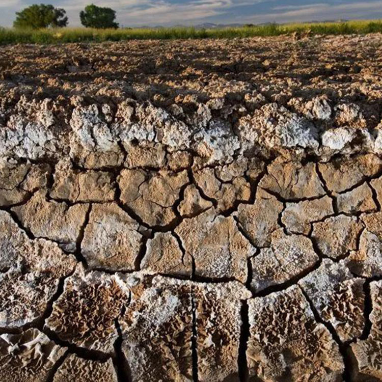 土壤环境污染调查评估