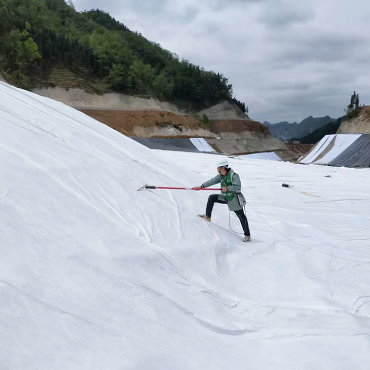 固废填埋场防渗完整性检测