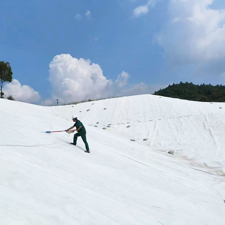 电厂贮灰场防渗完整性检测