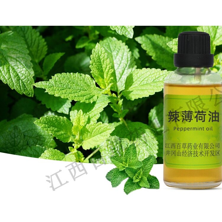辣薄荷油
