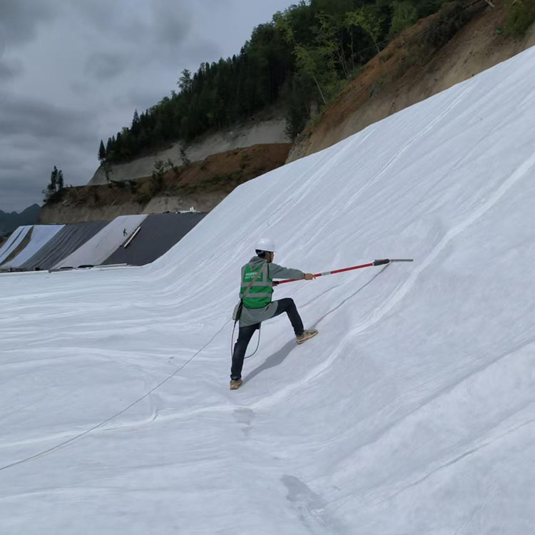 尾矿库防渗系统完整性检测