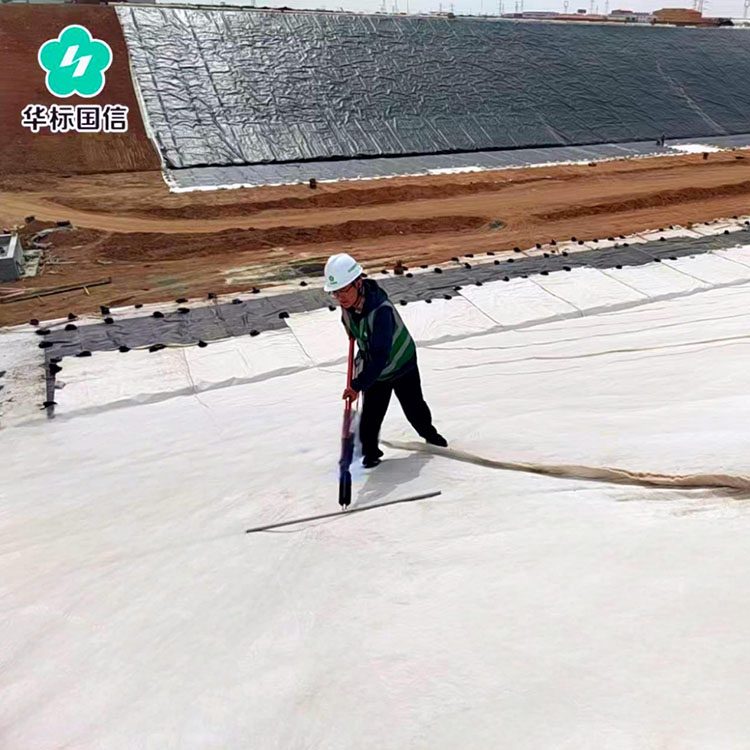 输水渠防渗层渗漏检测