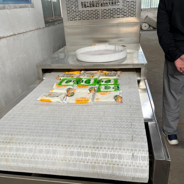 袋装鹅微波杀菌机 道口烧鸡微波灭菌设备