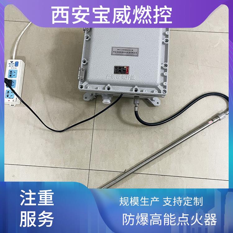 工业燃烧炉点火装置 防爆高能点火器BWFD-20