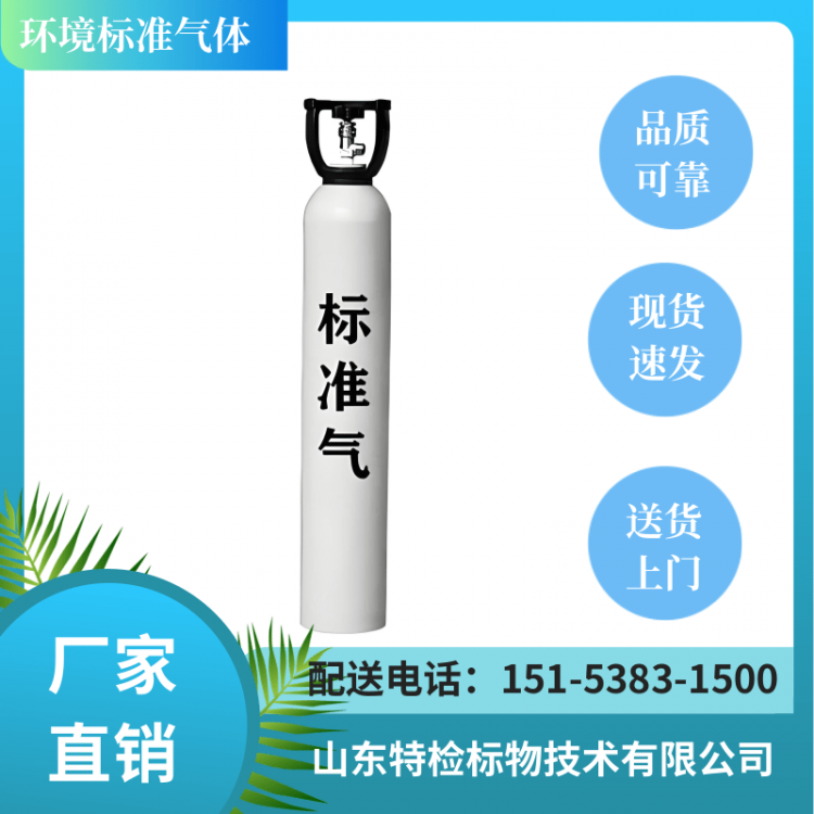 国标级标准气体 可用于环保监测、良好稳定、量值准确