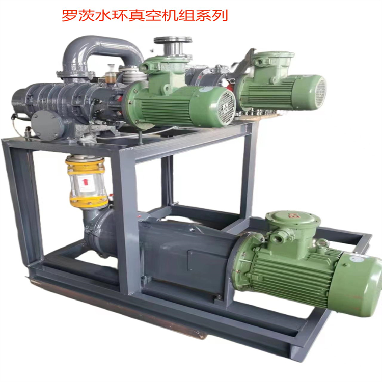 罗茨水环真空机组