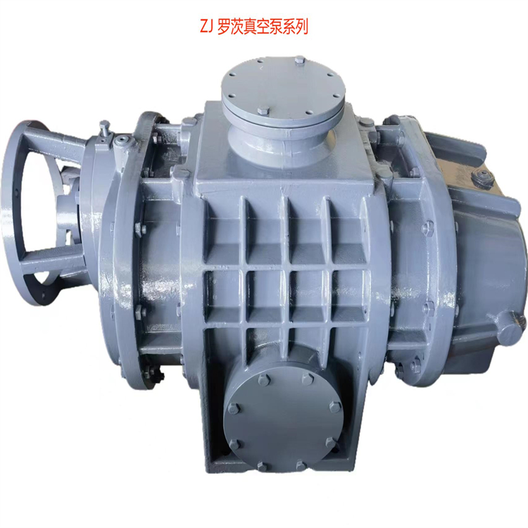 罗茨真空泵