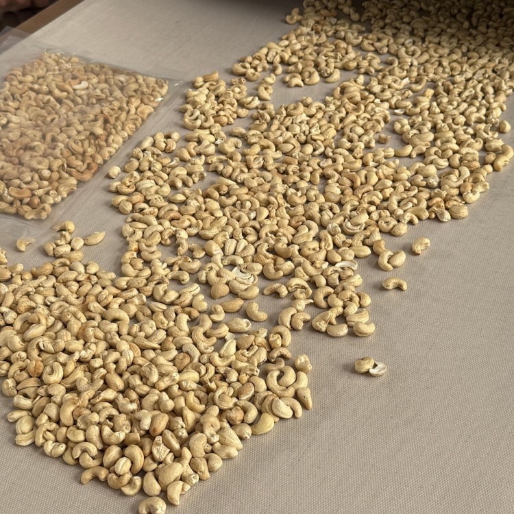 腰果微波熟化设备 坚果微波烘干设备