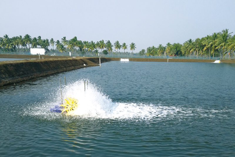节能增氧机 节能水车增氧机