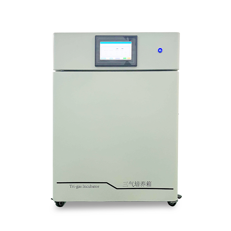 三气细胞培养箱CHSQ-160-III惰性气体培养箱