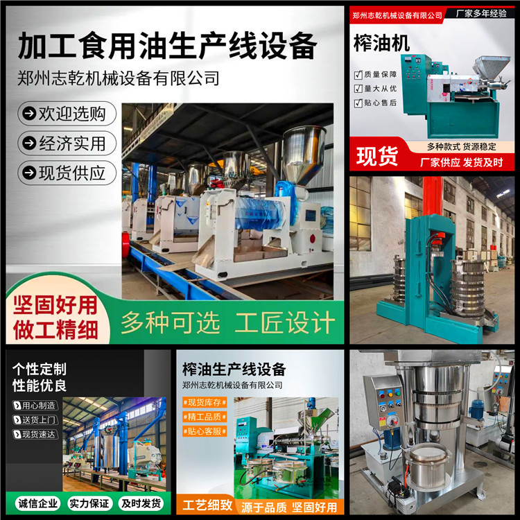 大型商用榨油机,低温生榨山茶籽油机器,志乾带壳核桃炸油设备