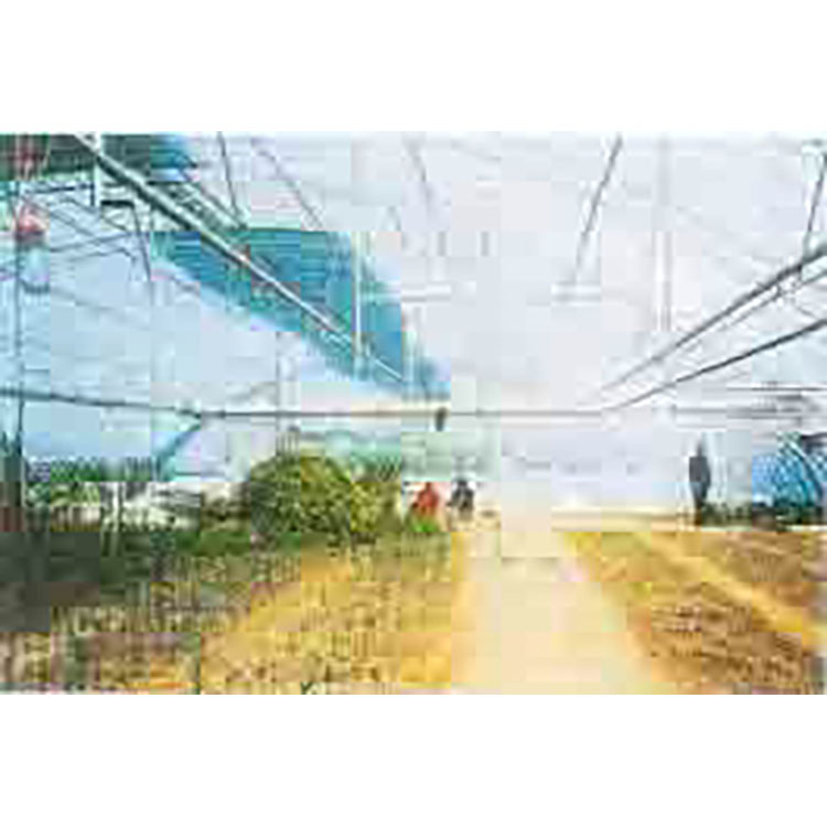 花卉大棚供暖设备