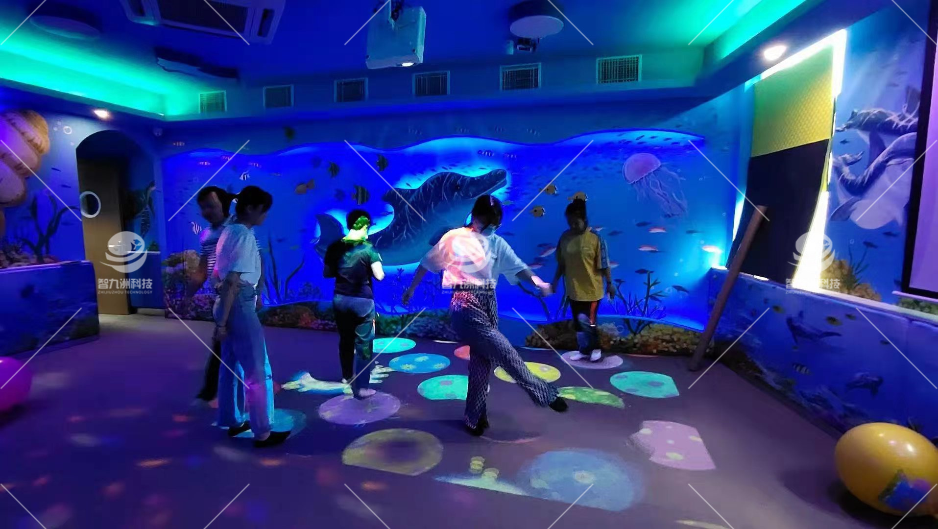 海豚屋