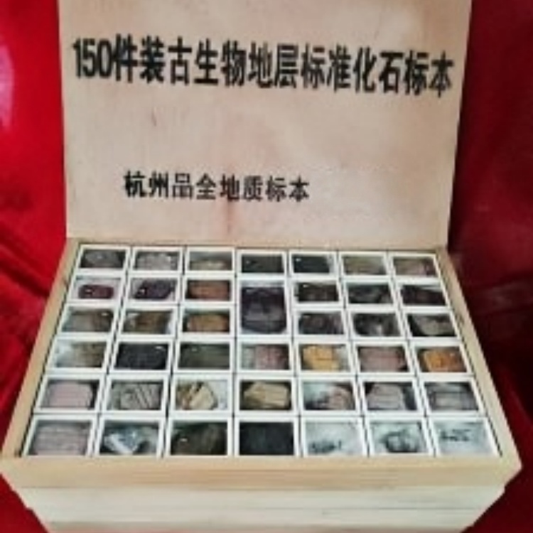 150件装古生物地层标准化石标本