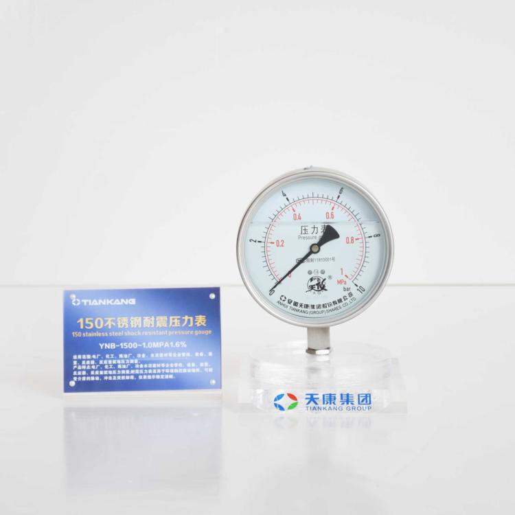 150 Stainless Steel Vibration-Resistant Pressure Gauge