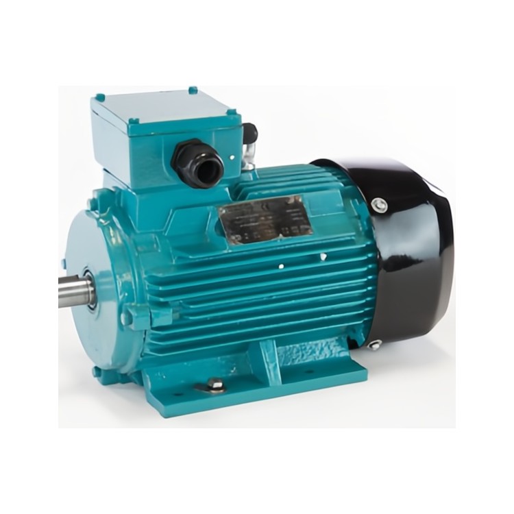 BROOK CROMPTON交流电机